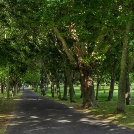 North Road Apartment *